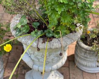 Large concrete planter