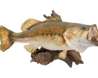 Bass Taxidermy Display