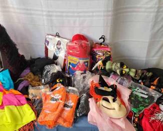 Adult Size Costumes More