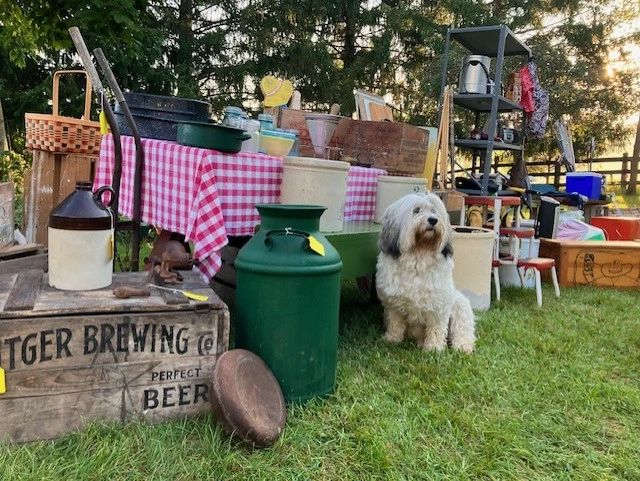 Rustic farm finds, dog NFS.