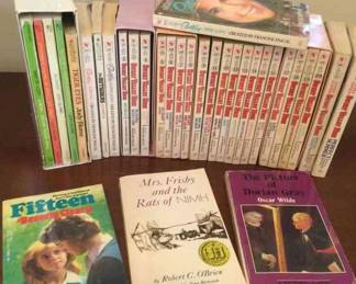 Great Vintage Childrens Books and Novels