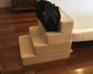 Pet Carrier And Steps