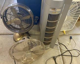 Still Hot Out There Four Awesome Fans