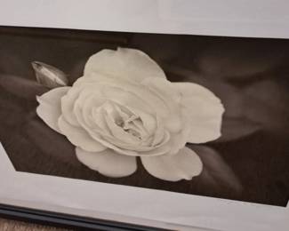 St. Joseph photographer Megan S. Wyeth framed photo