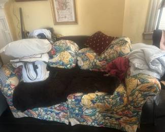 Beautiful colorful upholstered couch 