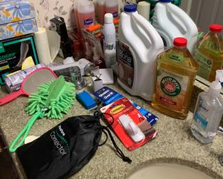 bathroom items and cleaning supplies