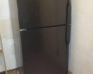 Basement fridge (walkout)