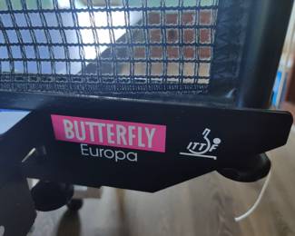 Butterfly Europa net