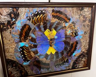 BUTTERFLY WING ART