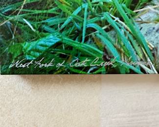 LARGED SIGNED PHOTO CANVAS $100. Call or Text Patty at 847-772-0404 to arrange for purchase or make inquiries.