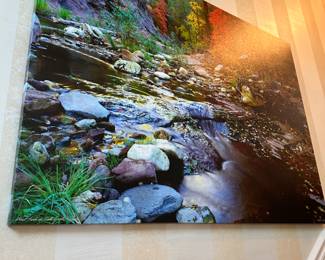 LARGED SIGNED PHOTO CANVAS $100. Call or Text Patty at 847-772-0404 to arrange for purchase or make inquiries.