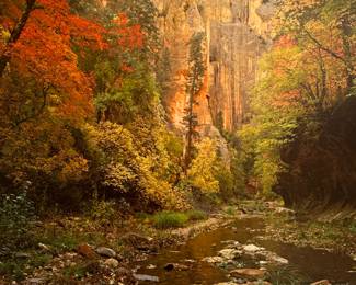 Call or Text Patty at 847-772-0404 to arrange for purchase or make inquiries.