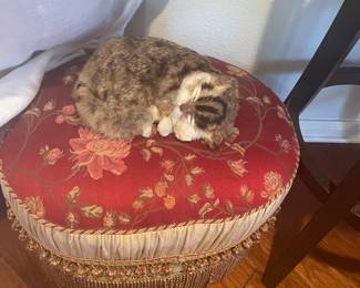 no feeding or litter box needed for this feline CAT SOLD HAVE BENCH