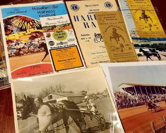 Hawkinsville Harness Racing memorabilia 