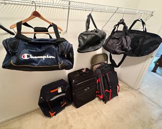 Assorted Bags and Luggage