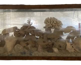 55 Gallon Aquarium