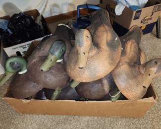 Styrafoam duck decoys, a box full of them