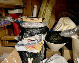 Basement to dig through