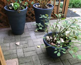Wonderful pots with plantings - when purchased...do not empty pots...you are purchasing the whole pot...dirt, plant and all.