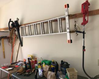 12' Extension Ladder, Toro Leaf Blower, Troy Bilt Weedeater, Extension Cords, Lawn chemicals/tools, Tree Pruner. Pic Ax