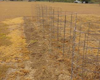 Heavy duty galvanized tomato cages 