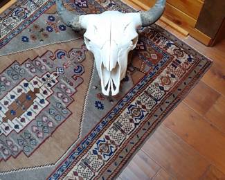 Very old antique Buffalo skull 