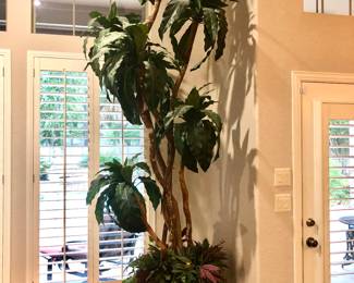 10" tall silk tree