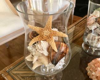 Shell decor