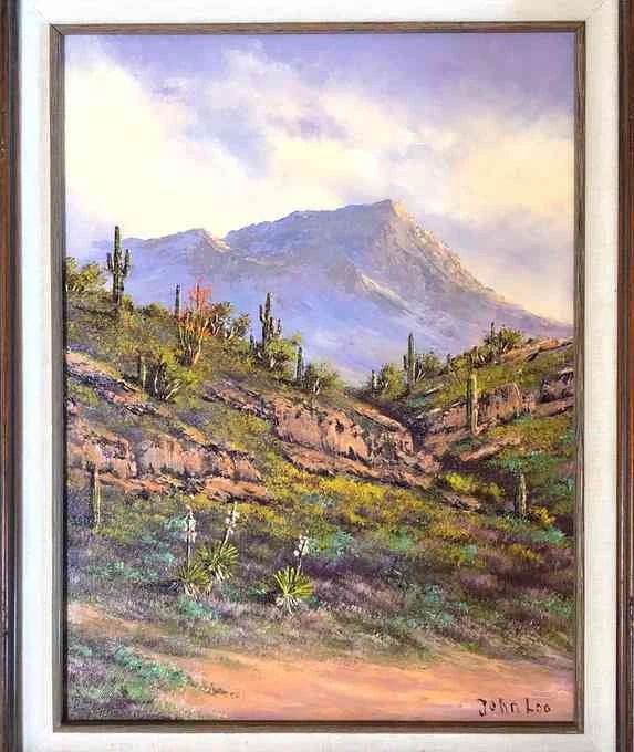 Desert Landscape by John Loo
