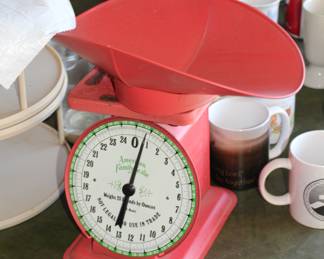 Vintage American Family Scale