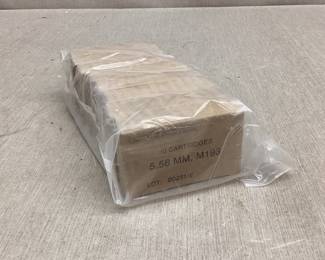 240 Rounds 5.56mm M193