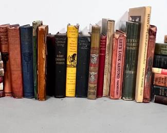 Vintage Books Some From 1800s