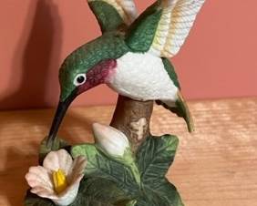 ruby throat hummingbird on flower