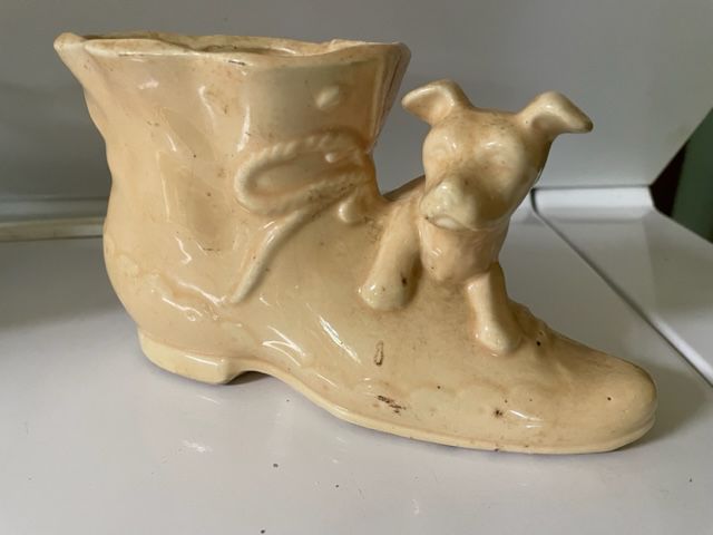 shawnee dog on boot planter dirty