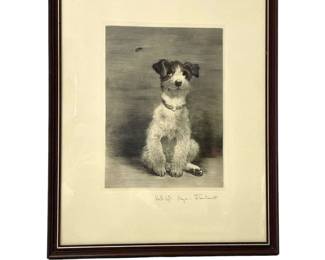 Wirehaired Fox Terrier by Curt Meyer-Eberhardt
