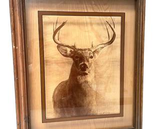 White Tail Buck Signed Dennis Curry
