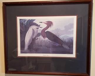 Audubon Print