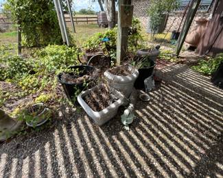 Lots of flower pots of all sizes
