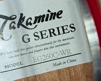 Takamine G SERIES Acoustic Electric Guitar 
With case.
