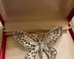 butterfly pin