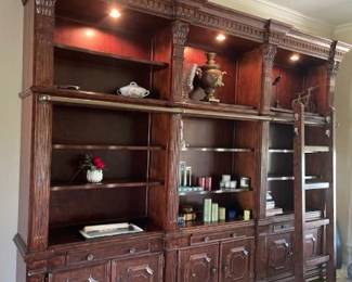 amazing bookcase with ladder