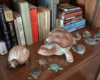 Large Collection of turtles