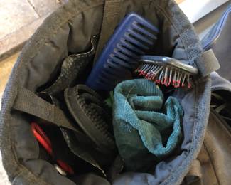 Horse grooming supplies