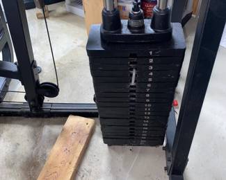 Schwinn 733 In Home Workout Weight Machine 