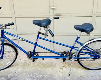 Trail Mate Easy Ride Tandem Bike