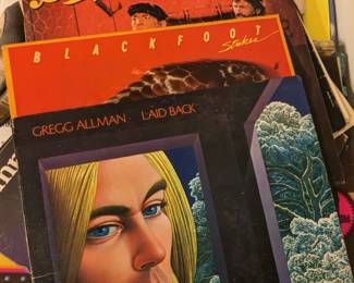 Vinyl Records (Bonnie Raitt, Back Door, Gregg Allman,  Willie Nelson, Eric Clapton, Goofy Gold)