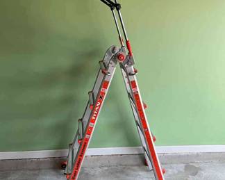 Titan X Little Giant Ladder