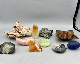 Fossils, Coral, Crystals & More in Southbridge, MA or Ships Nationwide!