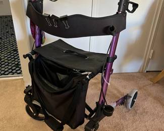 MPS072- Health Smart Walker