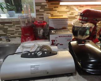 Foodsaver system with bags.